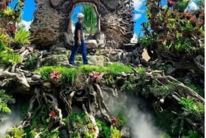 Ubud: Kokokan Village and Rice Fields Tour with Lunch