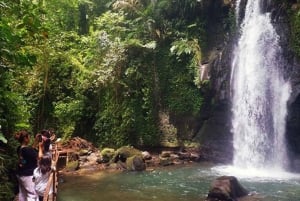 Ubud: Kokokan Village and Rice Fields Tour with Lunch