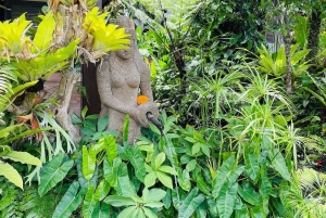 Ubud: Luxury Spa Relaxing Package with Amidst Rice Field