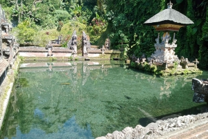 Ubud : Monkey forest and waterfall Private Tour with meal