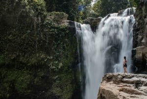 Ubud: Monkey Forest, Ceking Rice Terraces and More– Full Day