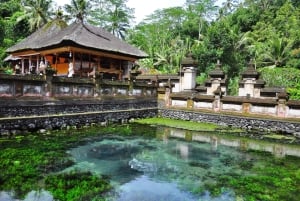 Ubud: Monkey Forest, Ceking Rice Terraces and More– Full Day