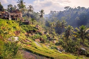 Ubud: Monkey Forest, Ceking Rice Terraces and More– Full Day