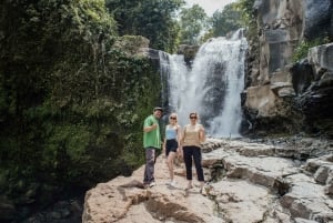 Ubud: Monkey Forest, Ceking Rice Terraces and More– Full Day