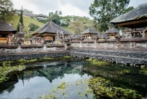 Ubud: Monkey Forest, Ceking Rice Terraces and More– Full Day