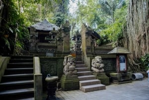 Ubud: Monkey Forest, Ceking Rice Terraces and More– Full Day