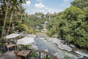 Ubud: Monkey Forest, Ceking Rice Terraces and More– Full Day