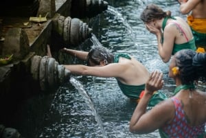 Ubud: Monkey Forest, Ceking Rice Terraces and More– Full Day