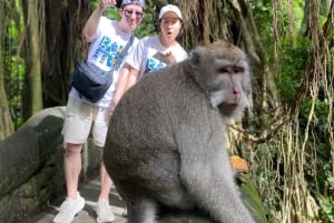 Bali: Ubud: małpi las, plantacja kawy i wycieczka na targ
