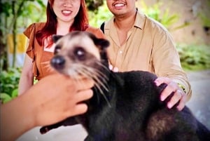 Bali: Ubud: małpi las, plantacja kawy i wycieczka na targ