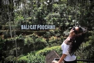 Bali: Ubud: małpi las, plantacja kawy i wycieczka na targ