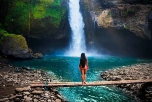 Bali: Ubud: małpi las, plantacja kawy i wycieczka na targ