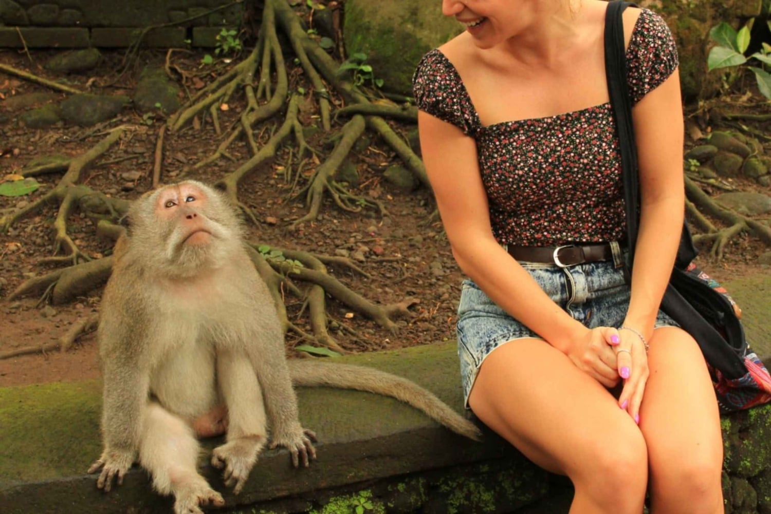 Ubud: Monkey Forest, Rice Terrace, and Waterfall Tour
