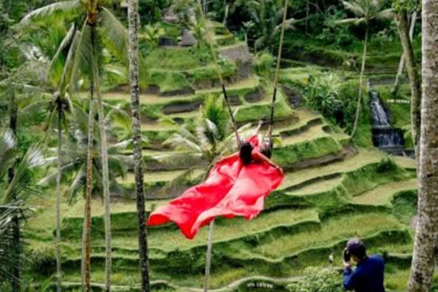 Ubud: Monkey Forest, Rice Terrace, and Waterfall Tour