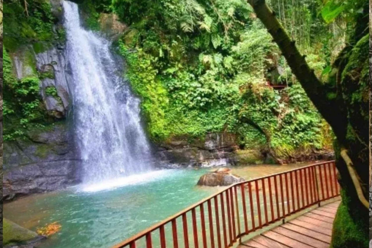 Ubud: Monkey Forest, Rice Terrace, and Waterfall Tour