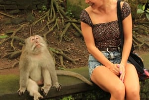 Ubud: Monkey Forest, Rice Terrace, and Waterfall Tour
