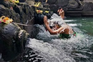 Ubud: Monkey Forest, Rice Terrace, and Waterfall Tour