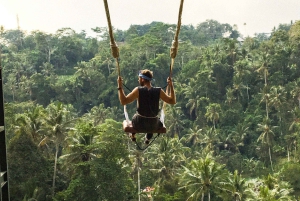 Ubud Monkey Forest, Rice Terrace, Swing, Temple & Waterfall