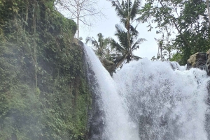 Ubud Monkey Forest, Rice Terrace, Swing, Temple & Waterfall