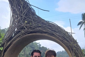 Ubud Monkey Forest, Rice Terrace, Swing, Temple & Waterfall