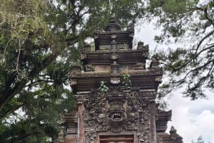 غابة قرود أوبود، مصاطب الأرز، الأرجوحة، المعبد والشلال