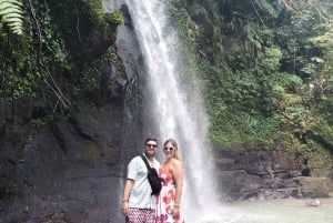 Ubud Monkey Forest, Rice Terrace, Swing, Temple & Waterfall