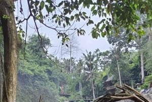 Ubud Monkey Forest, Rice Terrace, Swing, Temple & Waterfall