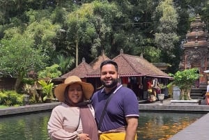 Ubud Monkey Forest, Rice Terrace, Swing, Temple & Waterfall