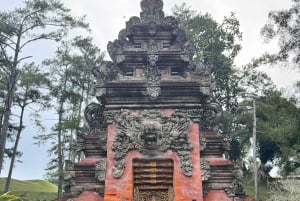 Ubud Monkey Forest, Rice Terrace, Swing, Temple & Waterfall