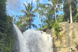 Ubud Monkey Forest, Rice Terrace, Swing, Temple & Waterfall