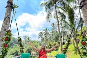 Ubud Monkey Forest, Rice Terrace, Swing, Temple & Waterfall