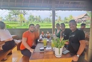 Ubud Monkey Forest, Rice Terrace, Swing, Temple & Waterfall