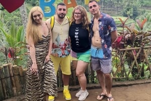 Ubud Monkey Forest, Rice Terrace, Swing, Temple & Waterfall