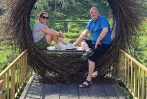 Ubud Monkey Forest, Rice Terrace, Swing, Temple & Waterfall