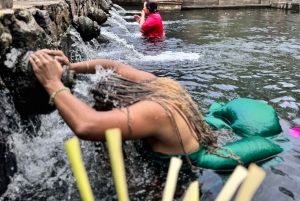 Ubud Monkey Forest, Rice Terrace, Swing, Temple & Waterfall