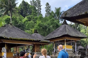 Ubud Monkey Forest, Rice Terrace, Swing, Temple & Waterfall