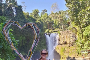 Ubud Monkey Forest, Rice Terrace, Swing, Temple & Waterfall