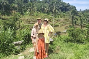Ubud Monkey Forest, Rice Terrace, Swing, Temple & Waterfall