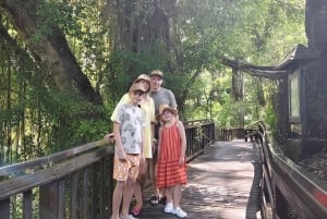 Ubud Monkey Forest, Rice Terrace, Swing, Temple & Waterfall