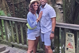 Ubud Monkey Forest, Rice Terrace, Swing, Temple & Waterfall