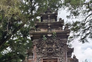 Ubud Monkey Forest, Rice Terrace, Swing, Temple & Waterfall