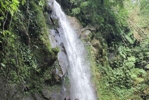 Ubud Monkey Forest, Rice Terrace, Swing, Temple & Waterfall