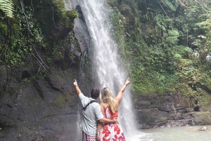 Ubud Monkey Forest, Rice Terrace, Swing, Temple & Waterfall