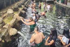 Ubud Monkey Forest, Rice Terrace, Swing, Temple & Waterfall