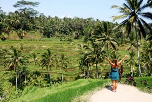 Ubud: tour privado de bosque de monos, arrozal y Tanah Lot