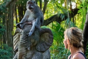 Ubud: Privat tur til Monkey Forest, risterasser og Tanah Lot