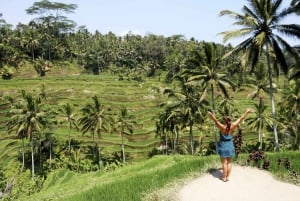 Ubud: Monkey Forest, Rice Terrace & Tanah Lot Private Tour