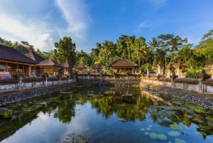 Ubud: Monkey Forest, Rice Terrace, and Jungle Swing Tour