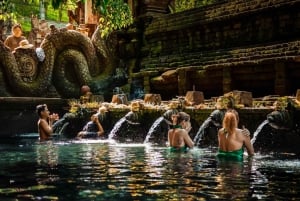 Ubud: Monkey Forest, Rice Terrace, and Jungle Swing Tour