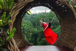 Ubud: Monkey Forest, Rice Terrace, and Jungle Swing Tour